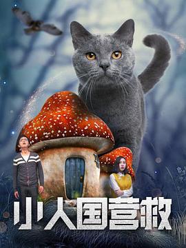 成年视频国产免费观看
