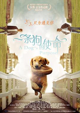 草莓视频在线观看精品最新