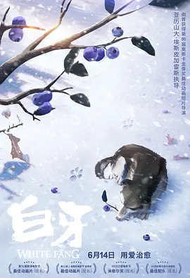 九一视频在线