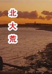 国产精品网站免费观看