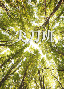 黄a网
