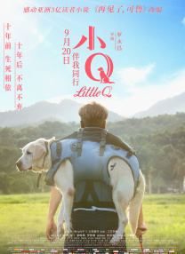 免费看欧美一级特黄a毛片