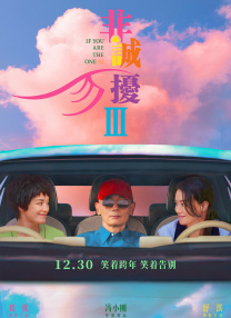 金瓶悔扬思敏版在线观看