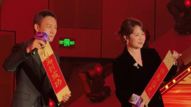 踢裆网站