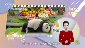 强力七班